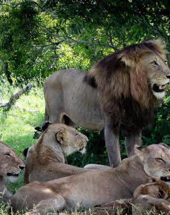 22ronald Mutero Mhangeni 04012020 3 Final