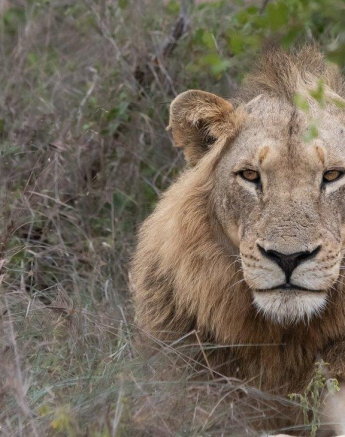 A41Jason Street Nkuhlu 041222 3. Final