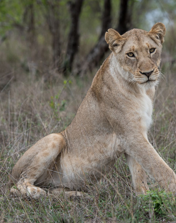 Mike Palmer Sparta Pride 1 Mike Palmer Sparta Pride 1