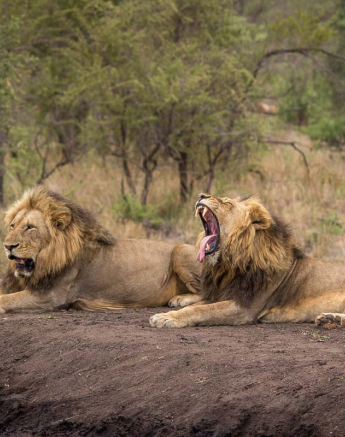 17Franscois Rosslee Cdrink1