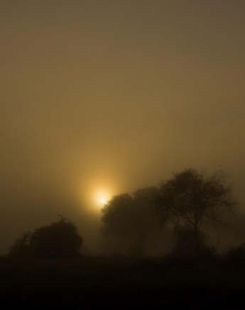 17Franscois Rosslee Elephant Mist Sunrise Final 17Franscois Rosslee Elephant Mist Sunrise Final