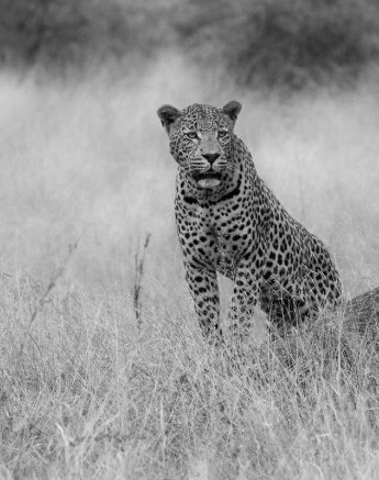 30Kevan Dobbie WDam 240519 2 Final 30Kevan Dobbie WDam 240519 2 Final