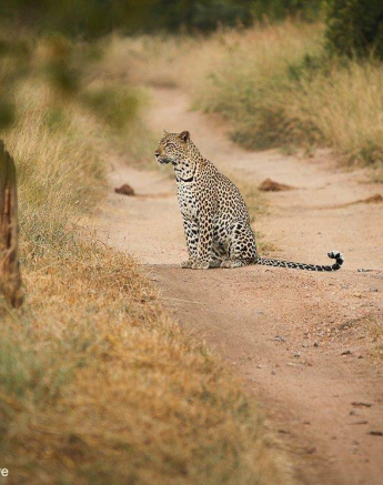 05Ally Ross Msuthlu 25032020 Final 05Ally Ross Msuthlu 25032020 Final