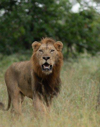 12Tyron Van Der Walt NWashishaka Males 160420 6 Final