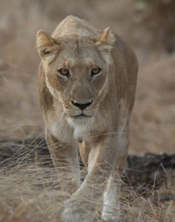 B21Tyron Van Der Walt Styx 270821 Portrait 2 Final B21Tyron Van Der Walt Styx 270821 Portrait 2 Final