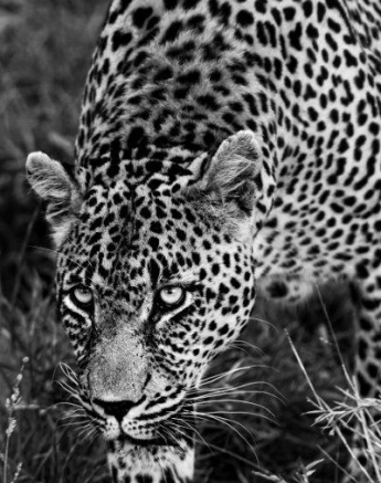 A27Jamiel Nweti 01.12 Final