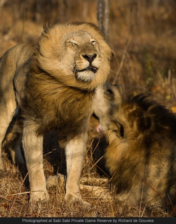 10443283 732478040133183 7002048233845090664 O