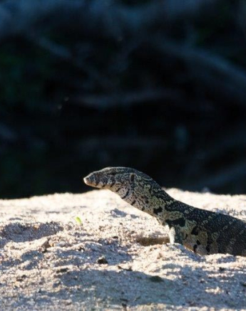 37Kevan Dobbie WMonitor Final 37Kevan Dobbie WMonitor Final