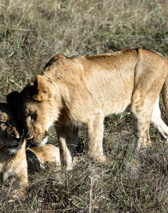 28Sheldon Hooper SP 14 05 17 4 Final