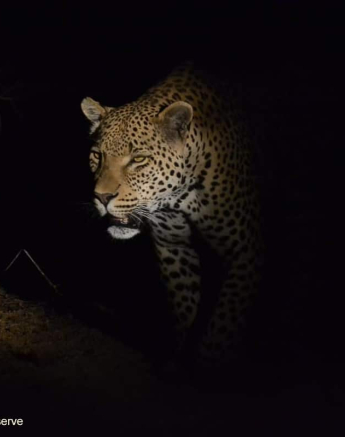 13Ronald Mutero Wd 17102019 1 Final