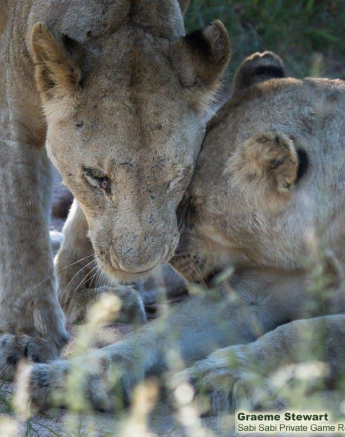 10Graeme Stewart Styx 301220 3  Final