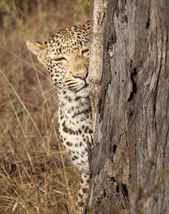 12Graeme Stewart Finfoot 130521 1  Final