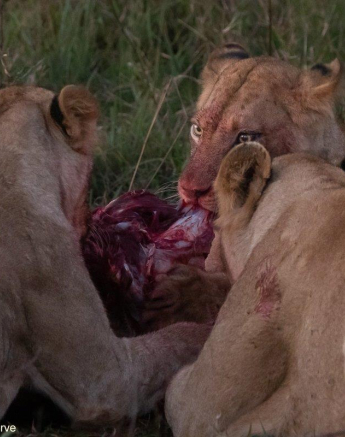 A17Jason Street Southern Pride 180622 3. Final A17Jason Street Southern Pride 180622 3. Final