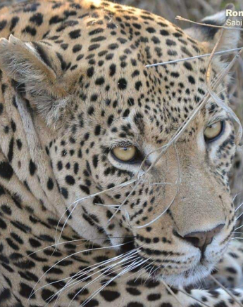 18Ronald Mutero White Dam 04102019 5 Final 18Ronald Mutero White Dam 04102019 5 Final