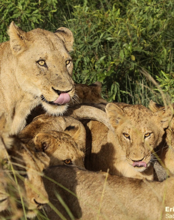 B13Erin Herbst Styx 2 080222 Final