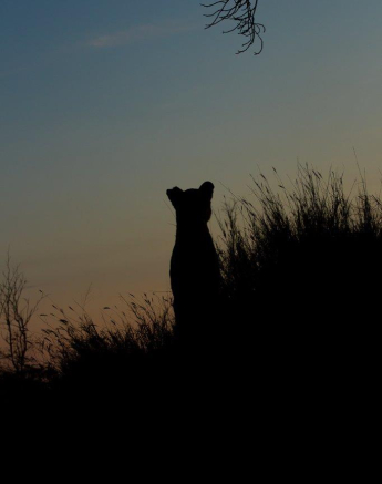 A33David Den Hartog Mhangeni Pride 14 04 2022 1 Final