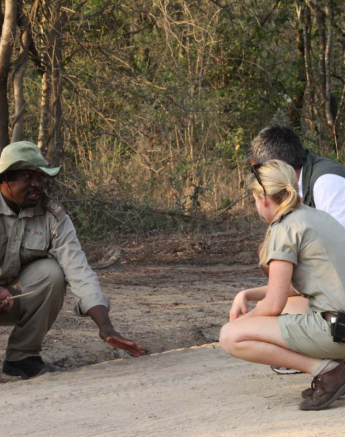 10Carla Campion Tracking