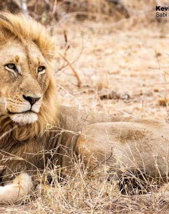 28Kevin Van Der Linde Othowa Mhangeni 15102019 Final