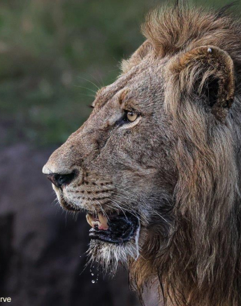 B03Coenraad Stapelberg Gijima 181022 2 Final