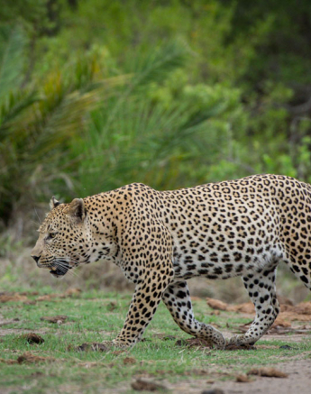 Mike Palmer LBC Maxabeni 2