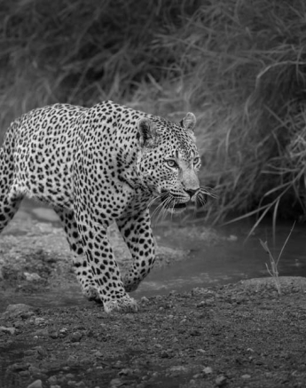 Maxabeni 02 Maxabeni 02