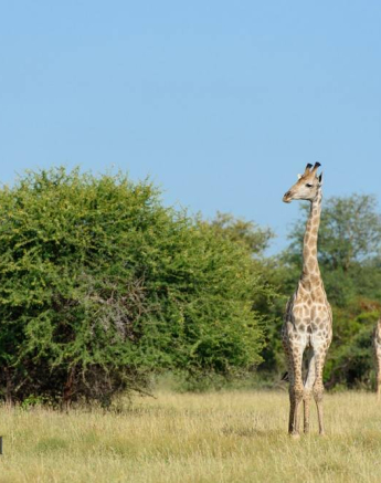 10382427 811753238872329 4985986636944291657 O