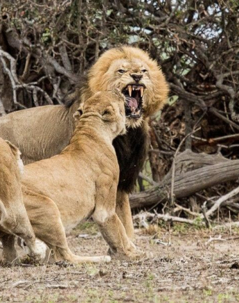 31Kevan Dobbie SP 1 Final