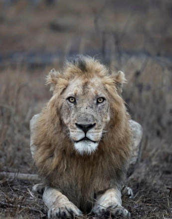 01Francois Malan Avoka 20181017 3 Of 3 Final