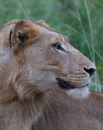 24Louise Murray SP 10042019 1 Final