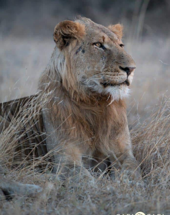 34Shaun Jenkinson Sp 21072019 1 Final