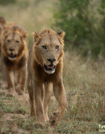 03Tyron Van Der Walt NWashishaka Males 160420 5 Final