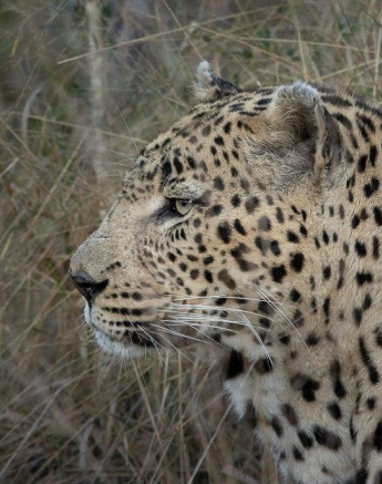 07Graeme Stewart Dewane 130521 1  Final