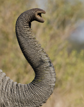 Week In Pictures 21 Week In Pictures 21