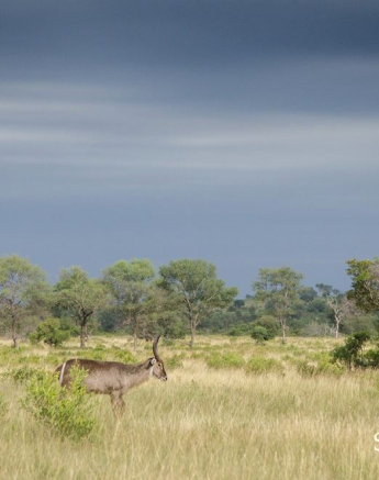 10431211 813152732065713 8944695618425077245 O