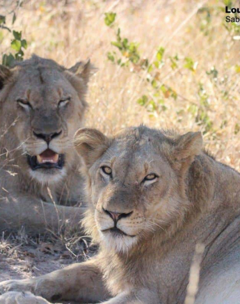 21Louise Murray Unkown 03062020 2 Final