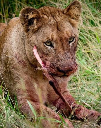 14ronald Mutero Khambula Pride 01032021 4 FINAL