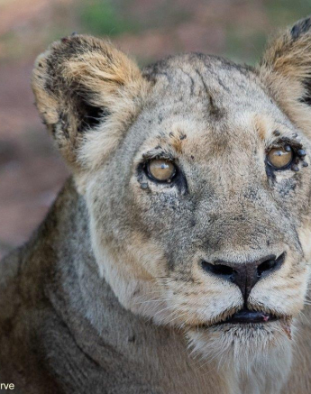 A09Ronald Mutero Stix And Nwash 12122021  2 Final A09Ronald Mutero Stix And Nwash 12122021  2 Final