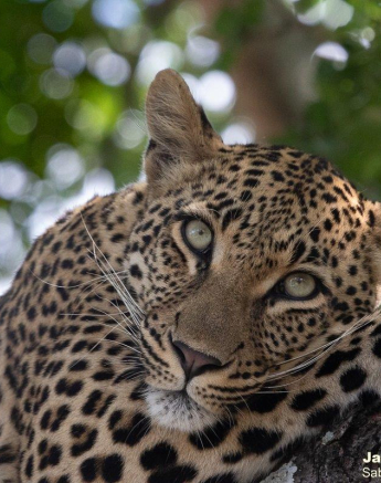 A22Jason Street Golonyi 021222 1. Final