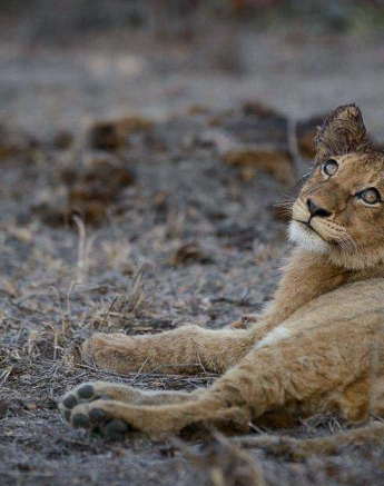 07Mike Palmer SP Kill 130716 2