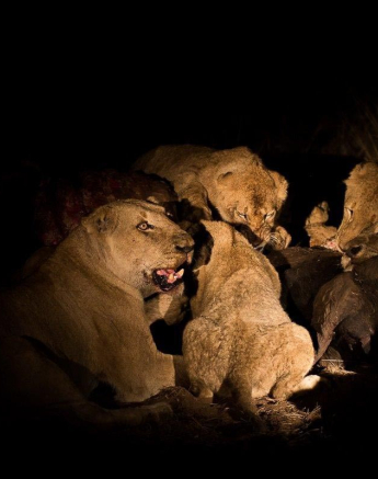 05Franscois Rosslee Sp 080717 2 Final