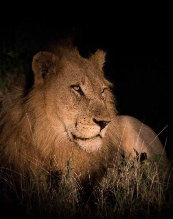 06Franscois Rosslee Avoca1 1 Of 1 Final