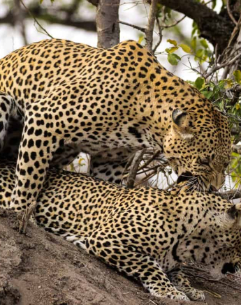 04Louise Murray 07092018 White Dam And Msuthlu Final