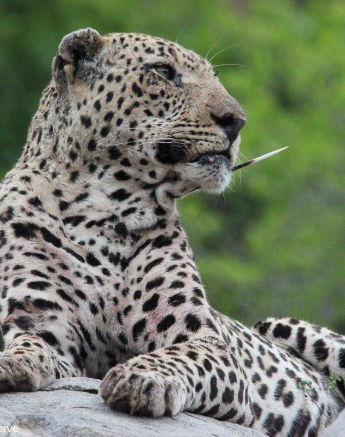 17Matt Temperley Xovo 3 30102020 Final