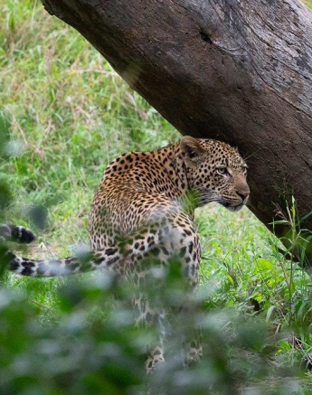 A11ronald Mutero Ngumi Unknown 27052022  2 Final