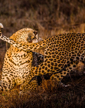 YPO 19.08 SABIBUSH JOHN.171