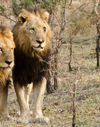 Week In Pictures 10 Week In Pictures 10