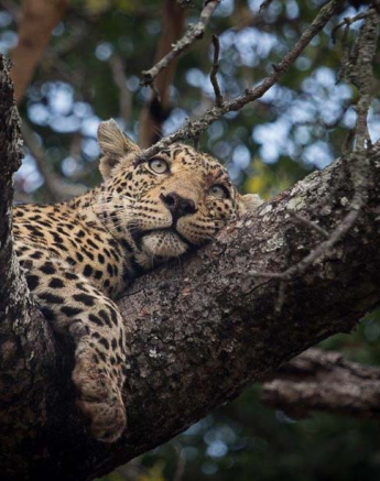10Kosie Lategan Nottins Kill2 10Kosie Lategan Nottins Kill2