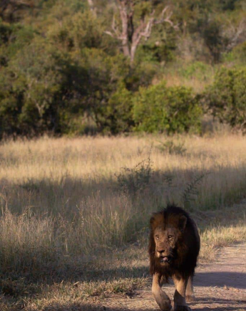 22Brett Heasman Bermingham 21032020 Final