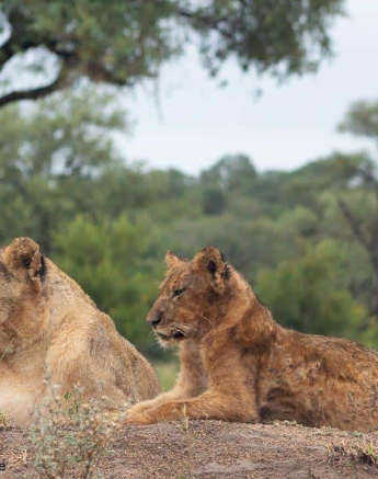 30Brett Heasman Unkown Pride 27032020 2 Final 30Brett Heasman Unkown Pride 27032020 2 Final