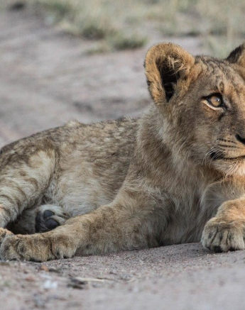 04Kevan Dobbie SP 02.06.1 2 Final